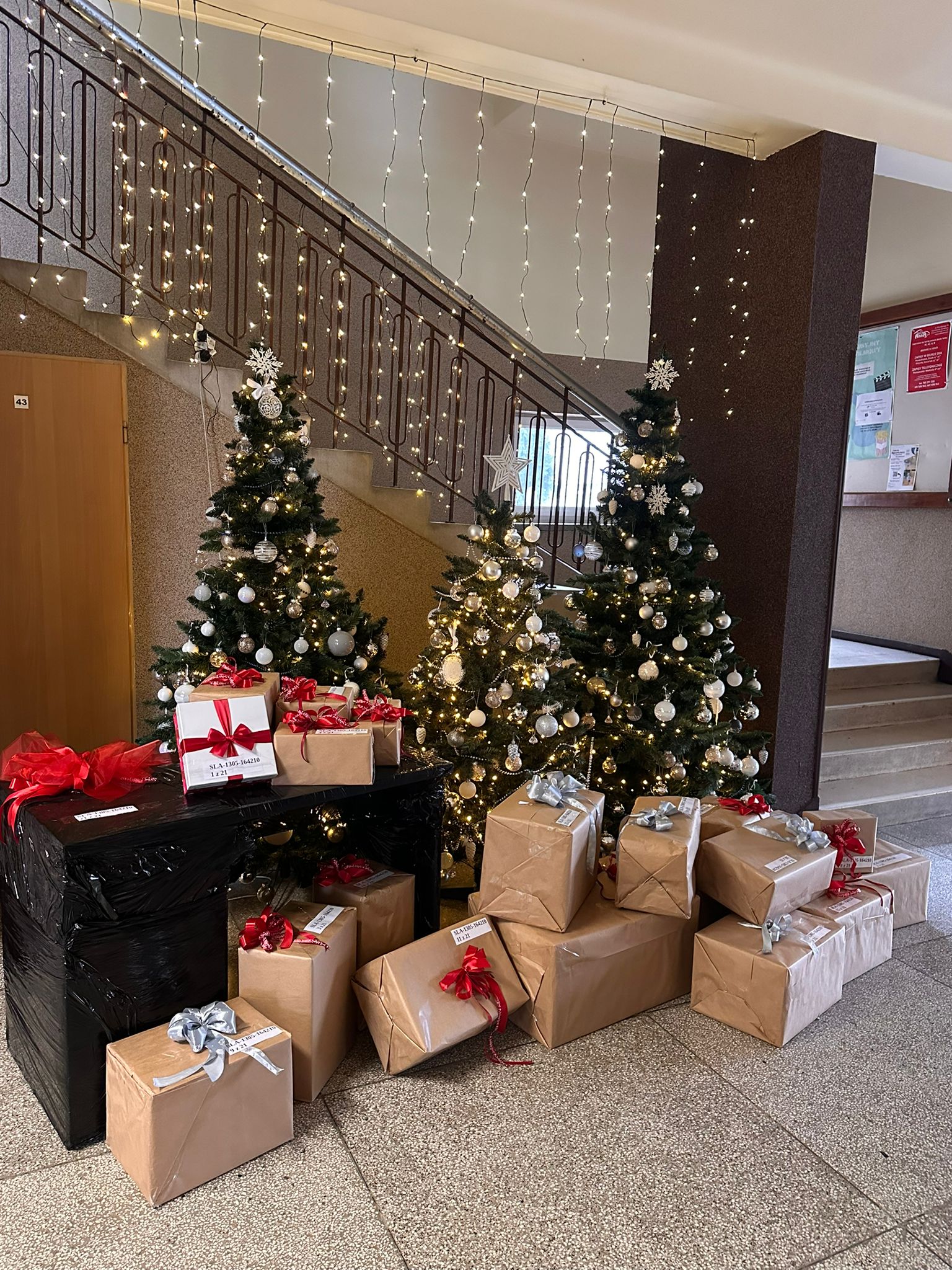 Szlachetna paczka dla p. Anny